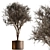 Desert Bloom Indoor Tree 3D model small image 1