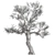 Ola Tree Dry Set#296 3D model small image 2
