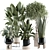 Elegant Indoor Plant Model 136 3D model small image 1