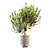 20cm Indoor Plant 3D Model 3D model small image 2