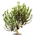 20cm Indoor Plant 3D Model 3D model small image 4