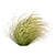 High-Quality Carex Comans Grass Model 3D model small image 4