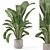 Bau Pot Large Indoor Plants 3D model small image 1