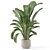 Bau Pot Large Indoor Plants 3D model small image 3