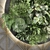 Vertical Indoor Garden Set 1205 3D model small image 2