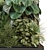 Green Haven Indoor Plants Set 3D model small image 4