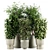 High-Quality Indoor Plant Set 3D model small image 1