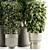 High-Quality Indoor Plant Set 3D model small image 3