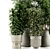 High-Quality Indoor Plant Set 3D model small image 4