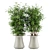 High-Quality Indoor Plant Set 3D model small image 5