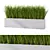 Lush Outdoor Grass Plant Set 3D model small image 1