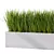 Lush Outdoor Grass Plant Set 3D model small image 3