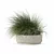 Eclectic Grass Collection 3D Model 3D model small image 2