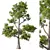 Nature's Majesty No.81 Tree 3D model small image 1