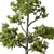 Nature's Majesty No.81 Tree 3D model small image 3