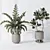 Modern Indoor Plant Set Collection 3D model small image 3