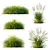 Variety of High-Quality Grass Models 3D model small image 3