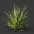 Variety of 3D Grass Models 3D model small image 4