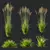 Variety of 3D Grass Models 3D model small image 6