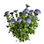 Hydrangea Macrophylla 3D Plant Model 3D model small image 6