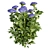 Hydrangea Macrophylla 3D Plant Model 3D model small image 7