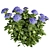 Hydrangea Macrophylla 3D Plant Model 3D model small image 1