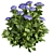 Hydrangea Macrophylla 3D Plant Model 3D model small image 2