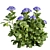 Hydrangea Macrophylla 3D Plant Model 3D model small image 3