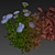 Hydrangea Macrophylla 3D Plant Model 3D model small image 4