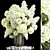 White Spring Floral Bouquet 3D model small image 1