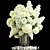 White Spring Floral Bouquet 3D model small image 4