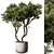 Evergreen Tree in Decorative Planter 3D model small image 1