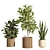 Rattan Stone Indoor Plant Set 3D model small image 3