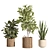 Rattan Stone Indoor Plant Set 3D model small image 7