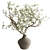 Green Branch Bouquet 162 3D model small image 1