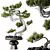 Five-Needle Pine Bonsai Tree 3D model small image 1