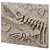 DIY Fossil Art Kit Collection 3D model small image 5