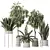 Indoor Plant Set 3D Models 3D model small image 1