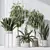 Indoor Plant Set 3D Models 3D model small image 2