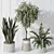 Indoor Plant Set 3D Models 3D model small image 3