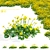 Mini Coreopsis Flower Collection Beds 3D model small image 1