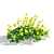 Mini Coreopsis Flower Collection Beds 3D model small image 4