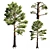 Tall Pine Tree Model 3D 3D model small image 1