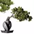 Evergreen Pinus Bonsai Tree 3D model small image 1