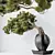 Evergreen Pinus Bonsai Tree 3D model small image 2