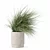 Diverse Grass Plants Collection 3D model small image 1