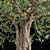 Enigmatic Tree Sculpture Figurine Vol. 251 3D model small image 2