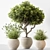 Decorative Tree in Pot 3D model small image 1