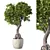 Green Haven Indoor Plant Set 3D model small image 1