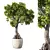 Green Haven Indoor Plant Set 3D model small image 3